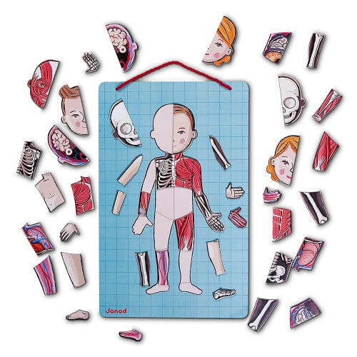 Janod Bodymagnet Human Body Game – 76 Pieces – view 4