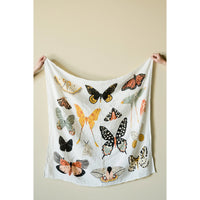 Butterfly Collector Swaddle Clementine Kids Baby & Toddler Lil Tulips