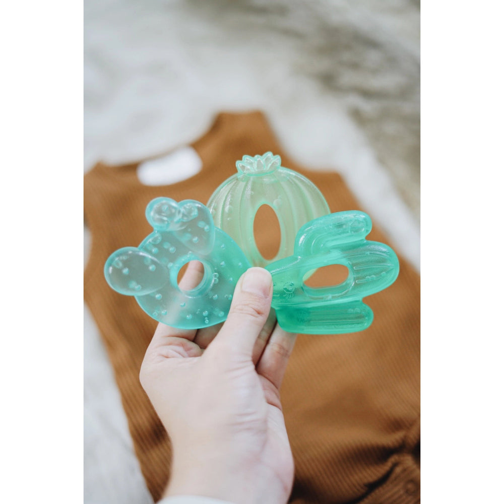 Cactus Cutie Coolers™ Water Filled Teethers (3-pack) Itzy Ritzy Lil Tulips