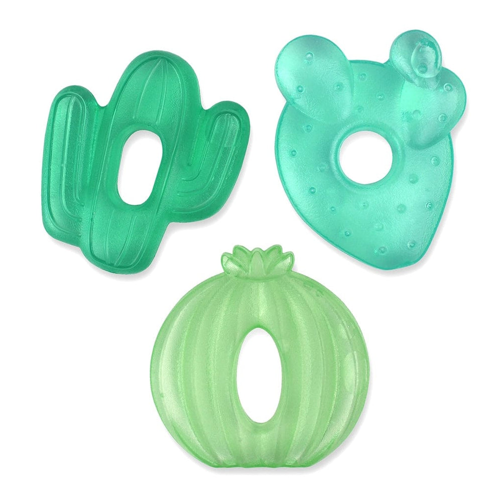 Cactus Cutie Coolers™ Water Filled Teethers (3-pack) Itzy Ritzy Lil Tulips
