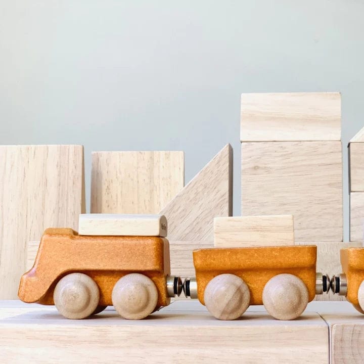 Cargo Train Plan Toys Lil Tulips