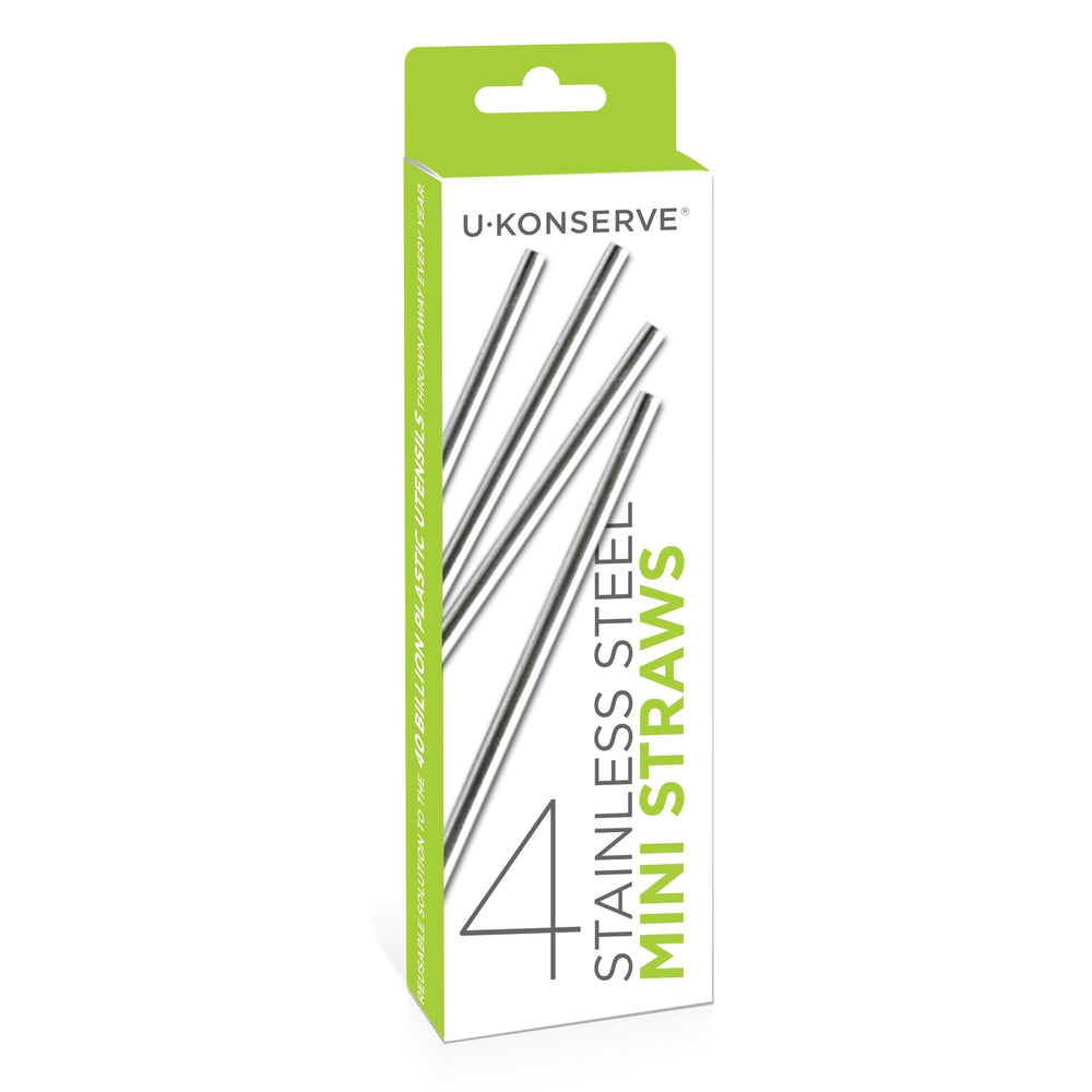Stainless Steel Mini Straws (Set of 4)