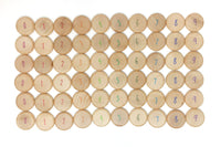 Coins to Count Grapat Lil Tulips