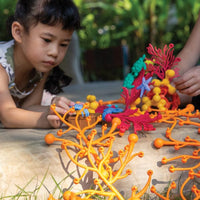 Coral Connections – 40 pc. Set GuideCraft Lil Tulips