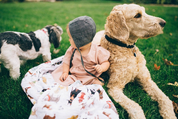 Cotton Swaddle Woof Little Unicorn Lil Tulips