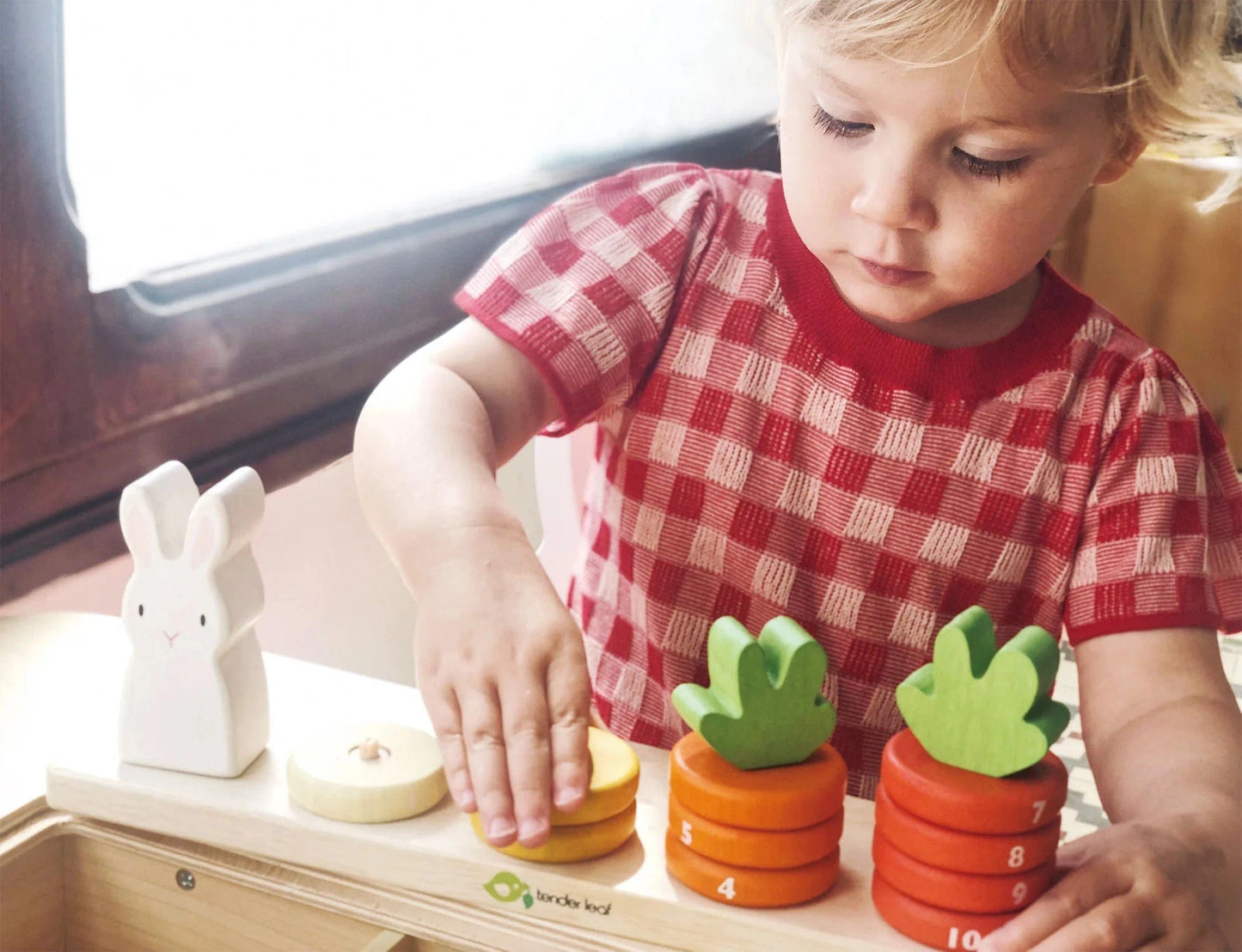 Counting Carrots Tender Leaf Lil Tulips
