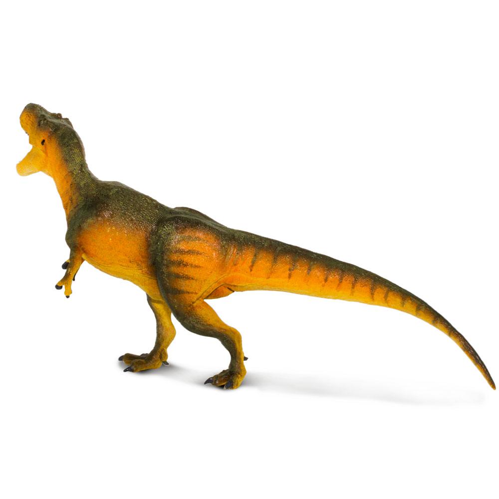 Daspletosaurus Toy Safari Ltd Lil Tulips