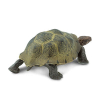 Desert Tortoise Toy Safari Ltd Lil Tulips