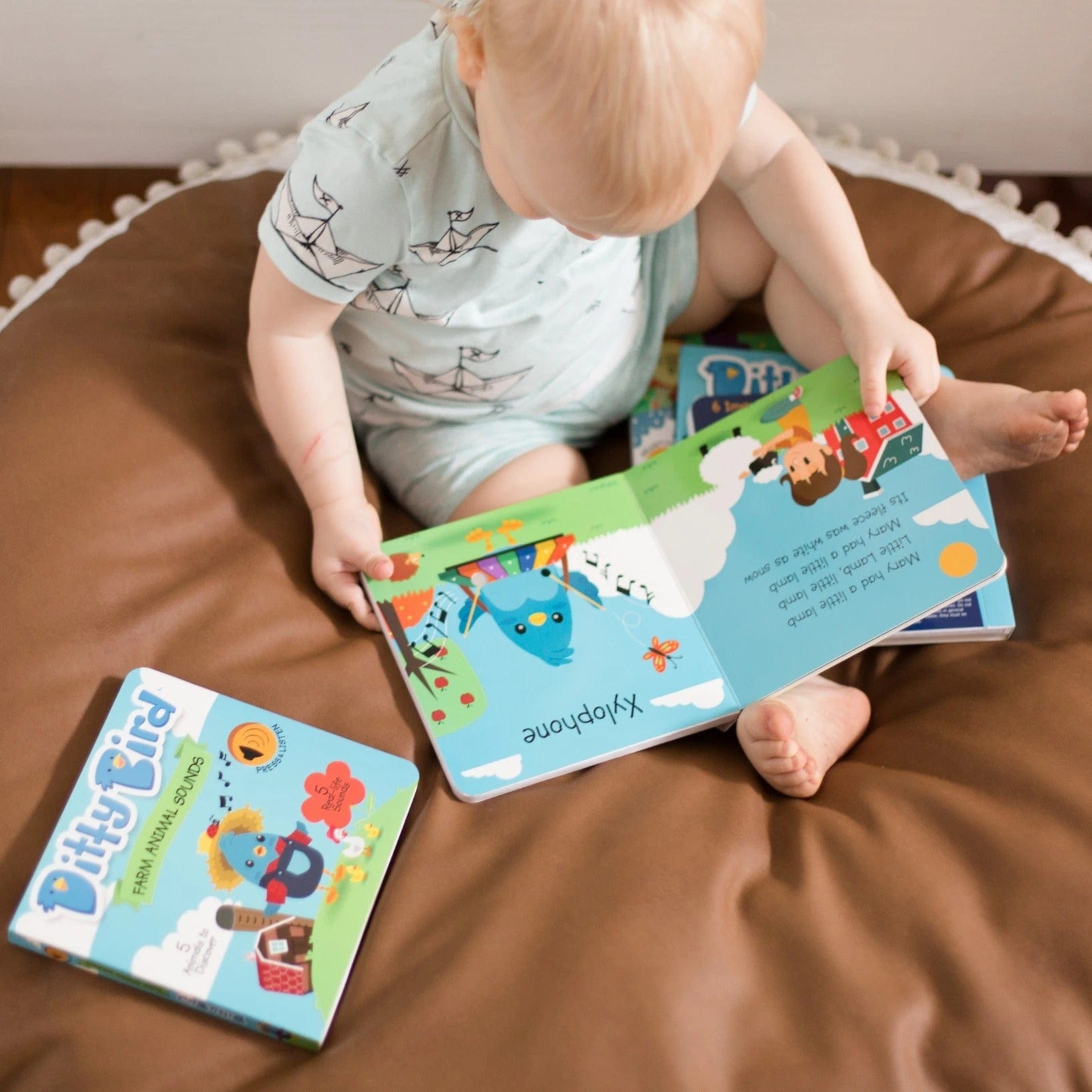Ditty Bird Baby Sound Book: Instrumental Children's Songs Ditty Bird Book Lil Tulips