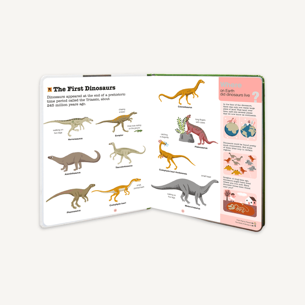 Do You Know?: Dinosaurs and the Prehistoric World Chronicle Books Lil Tulips