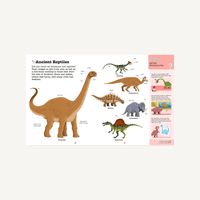 Do You Know?: Dinosaurs and the Prehistoric World Chronicle Books Lil Tulips