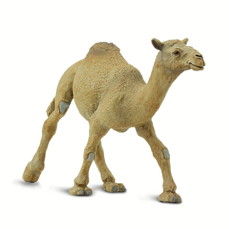 Dromedary Camel Toy Safari Ltd Lil Tulips