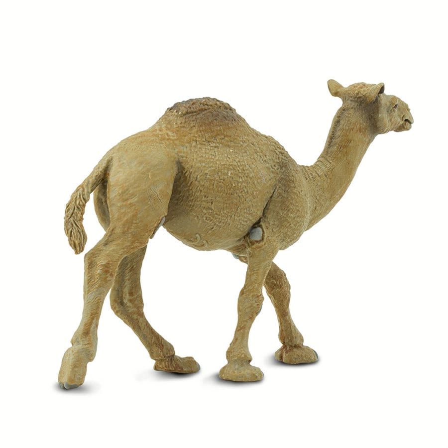 Dromedary Camel Toy Safari Ltd Lil Tulips