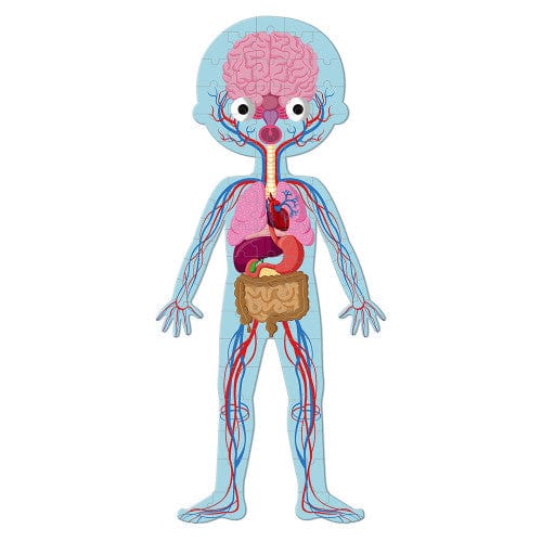 Educational Puzzle Human Body Janod Lil Tulips