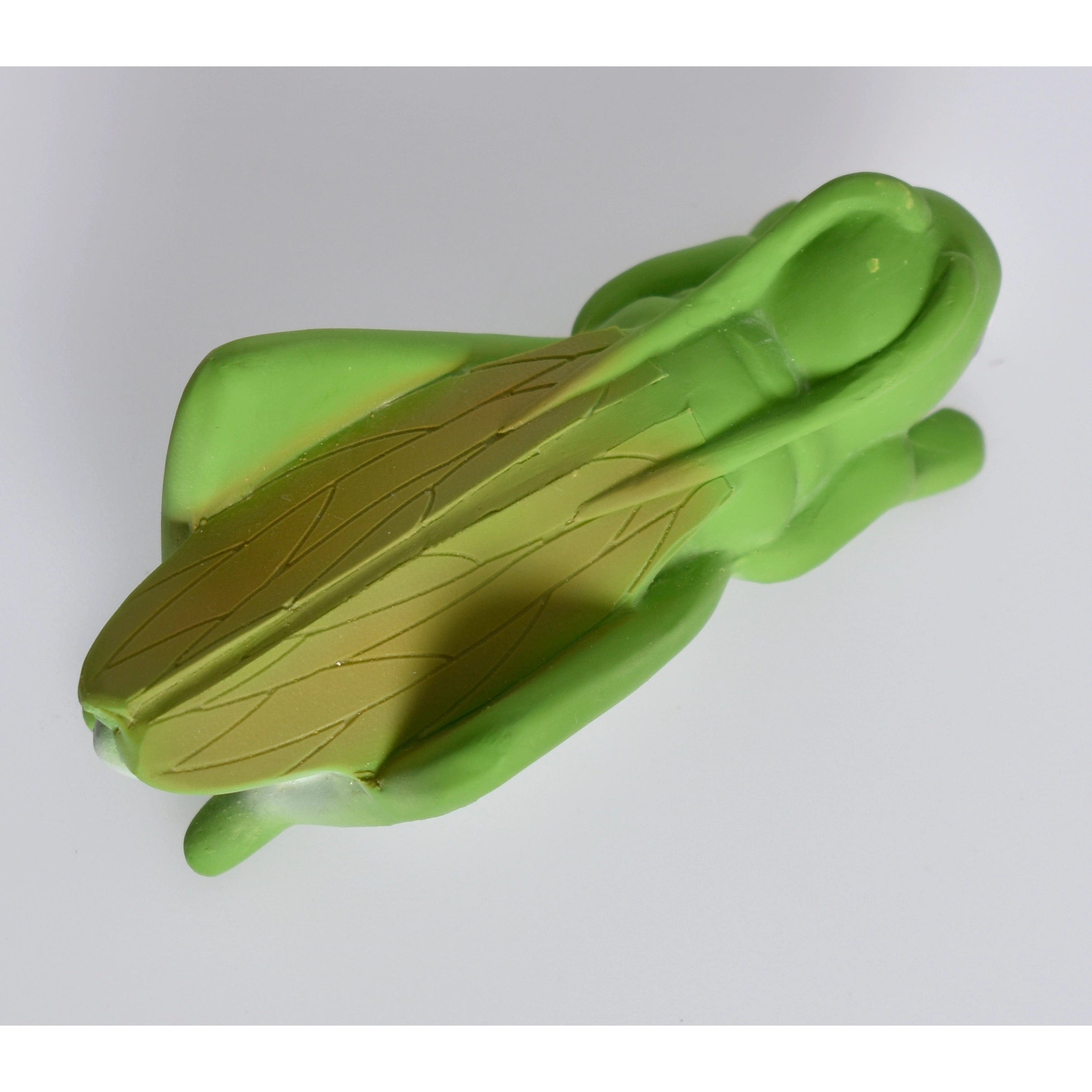 Grasshopper Natural Rubber Teether, Rattle & Bath Toy Tikiri Toys Lil Tulips