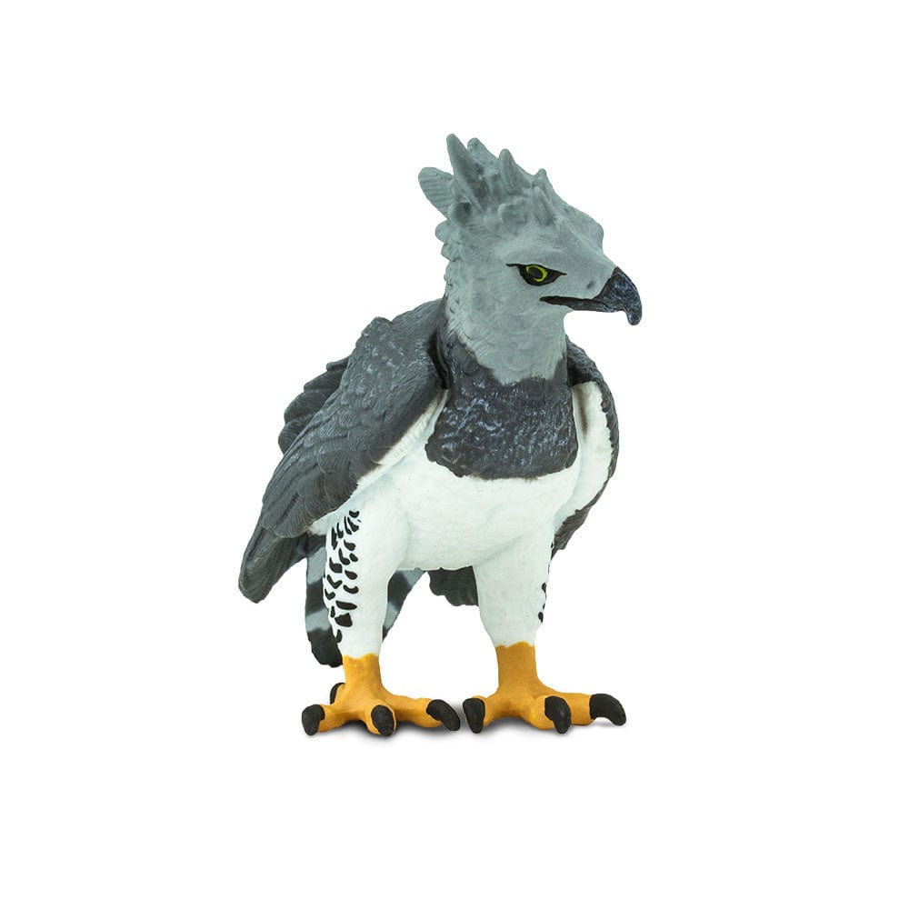 Harpy Eagle Toy Safari Ltd Lil Tulips