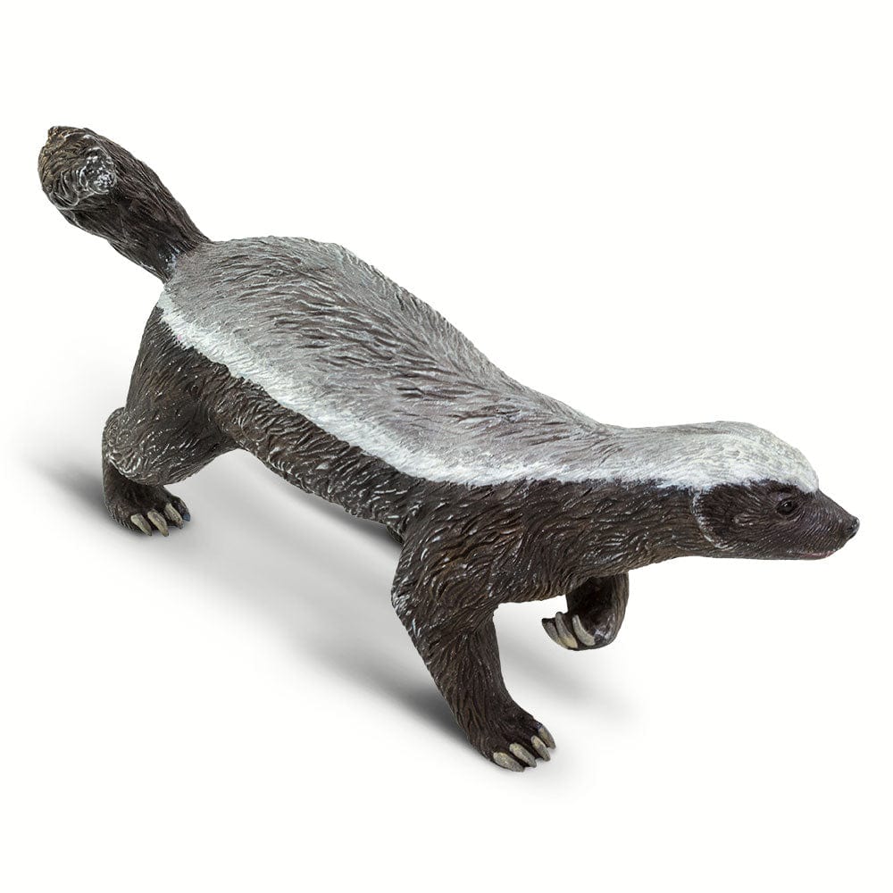 Discover honey badger stuffed animals on Tedsby