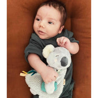 Kayden The Koala Itzy Friends Itzy Lovey™ Plush with Silicone Teether Toy Itzy Ritzy Lil Tulips