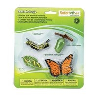 Life Cycle of a Monarch Butterfly Safari Ltd Lil Tulips