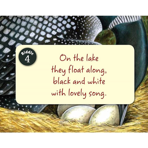 Little Minnesota Toddler Board Book Sleeping Bear Press Books Lil Tulips