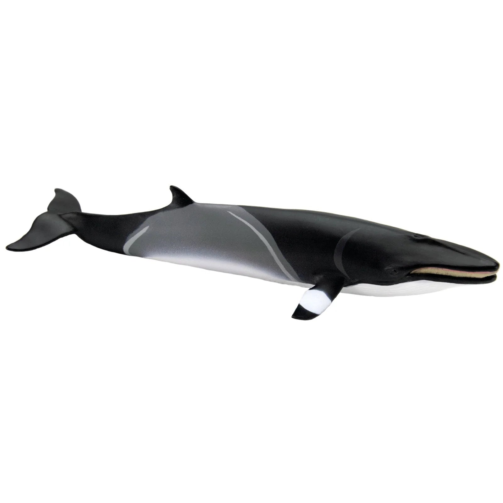 Minke Whale Toy