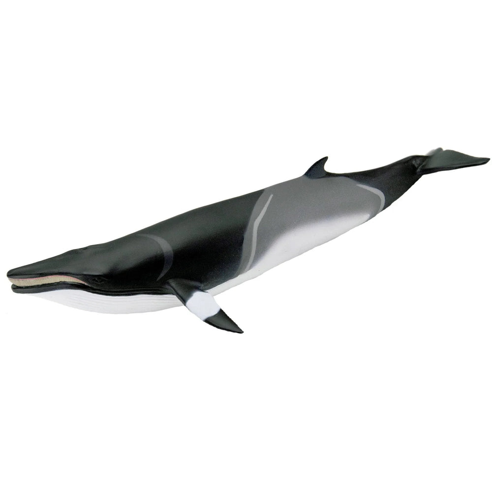 Minke Whale Toy