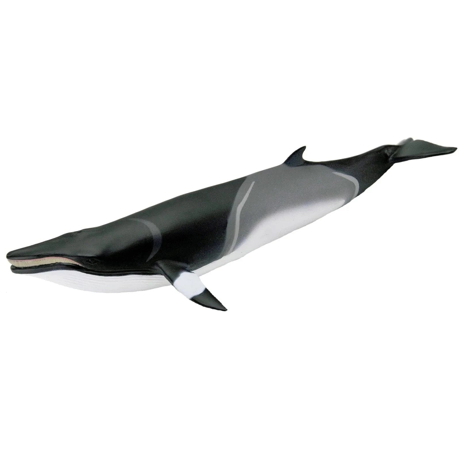 Minke Whale Toy Safari Ltd Final Sale Lil Tulips