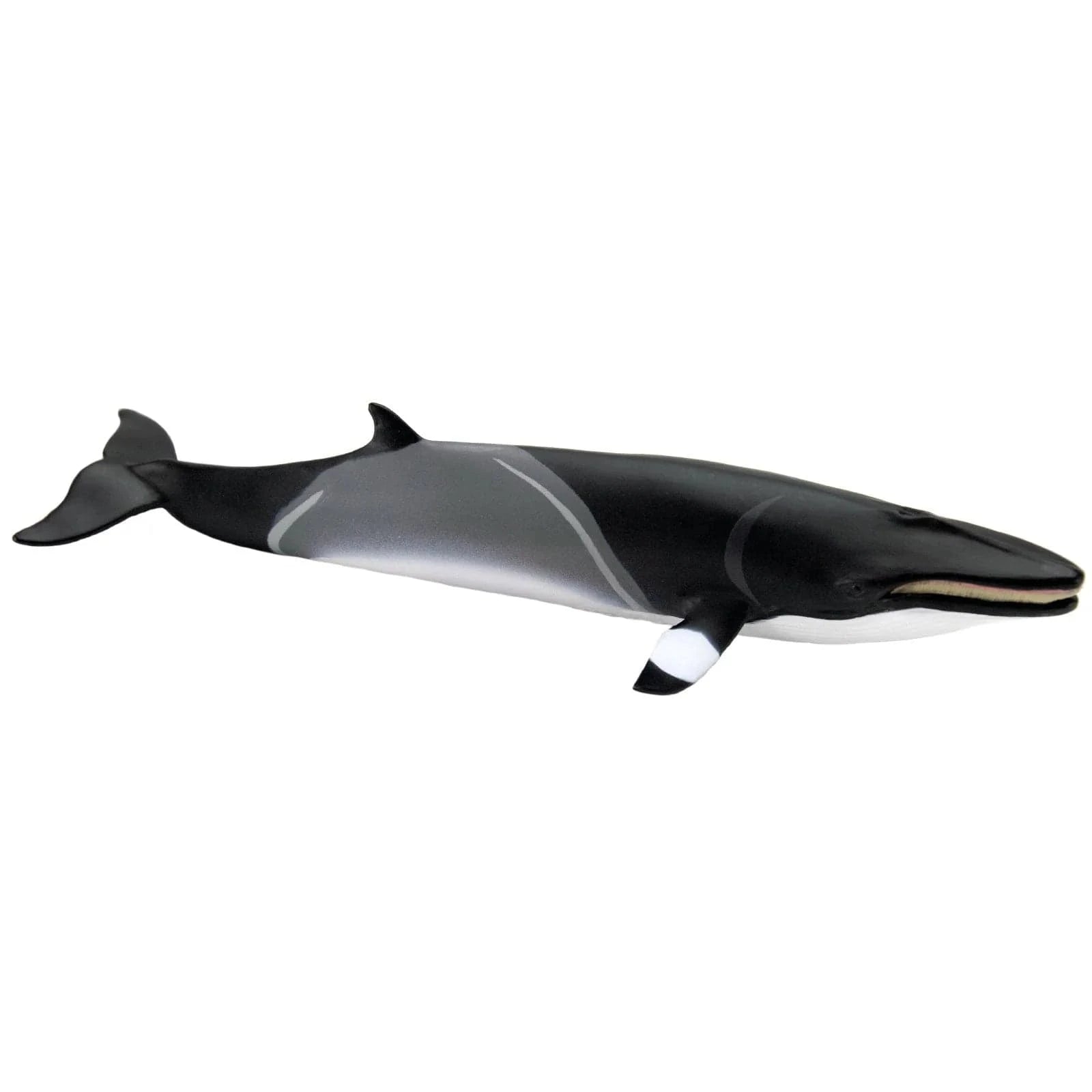 Minke Whale Toy Safari Ltd Final Sale Lil Tulips