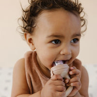 Mod Feeder™ - Mahogany Rose Pretty Please Teethers Lil Tulips