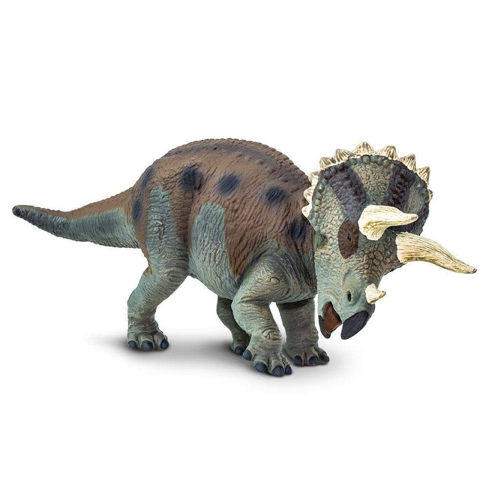 NEW Triceratops Toy Safari Ltd Lil Tulips