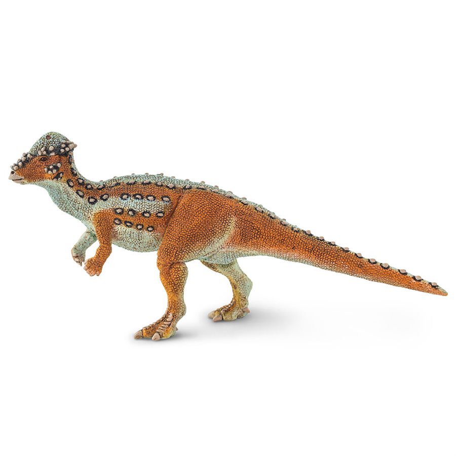 Pachycephalosaurus Toy
