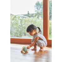 Pull Along Hedgehog - Blue Plan Toys Toys Lil Tulips