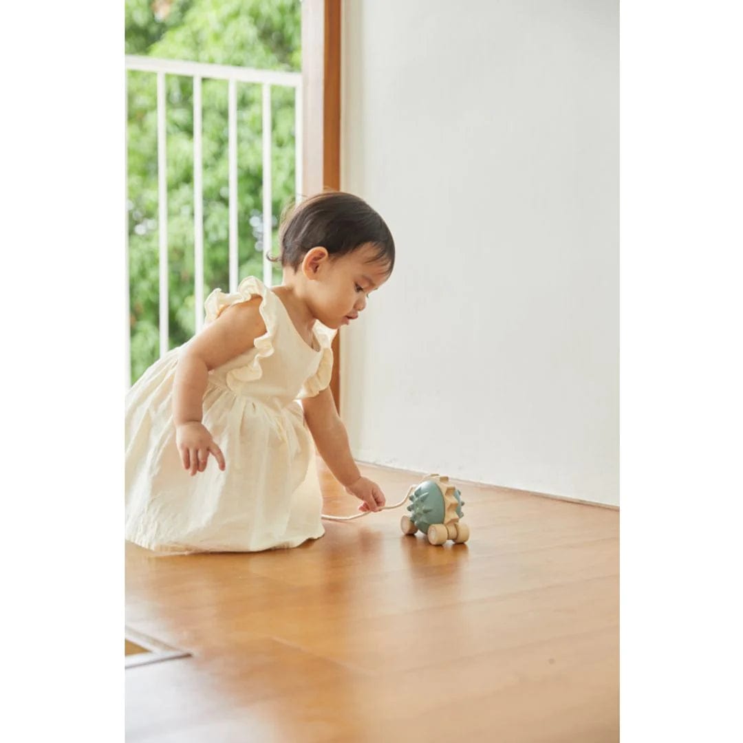 Pull Along Hedgehog - Blue Plan Toys Toys Lil Tulips