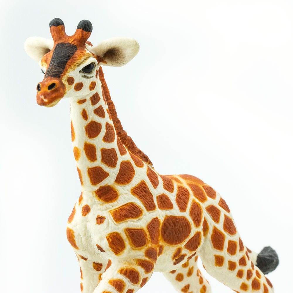 Reticulated Giraffe Baby Toy Safari Ltd Lil Tulips