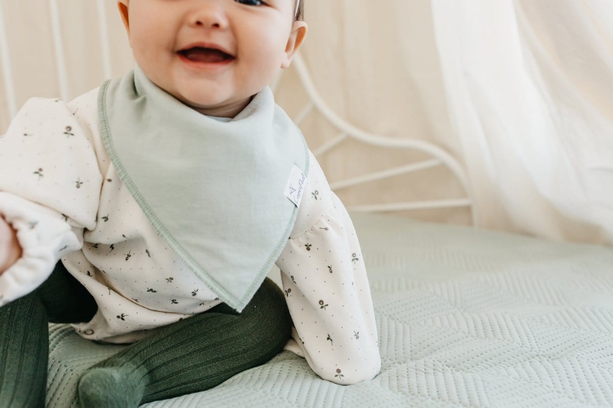 Rex Baby Bandana Bibs Copper Pearl Lil Tulips