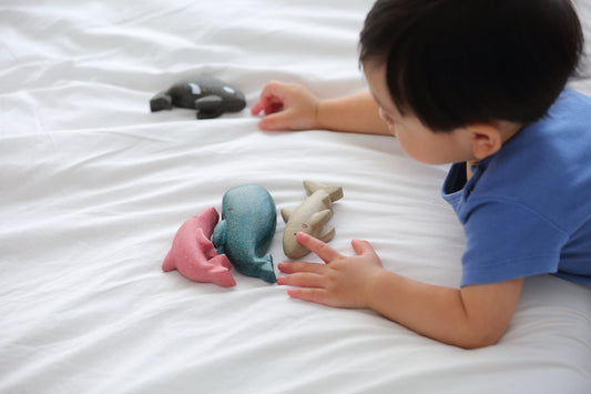 Sea Life Set Plan Toys Lil Tulips