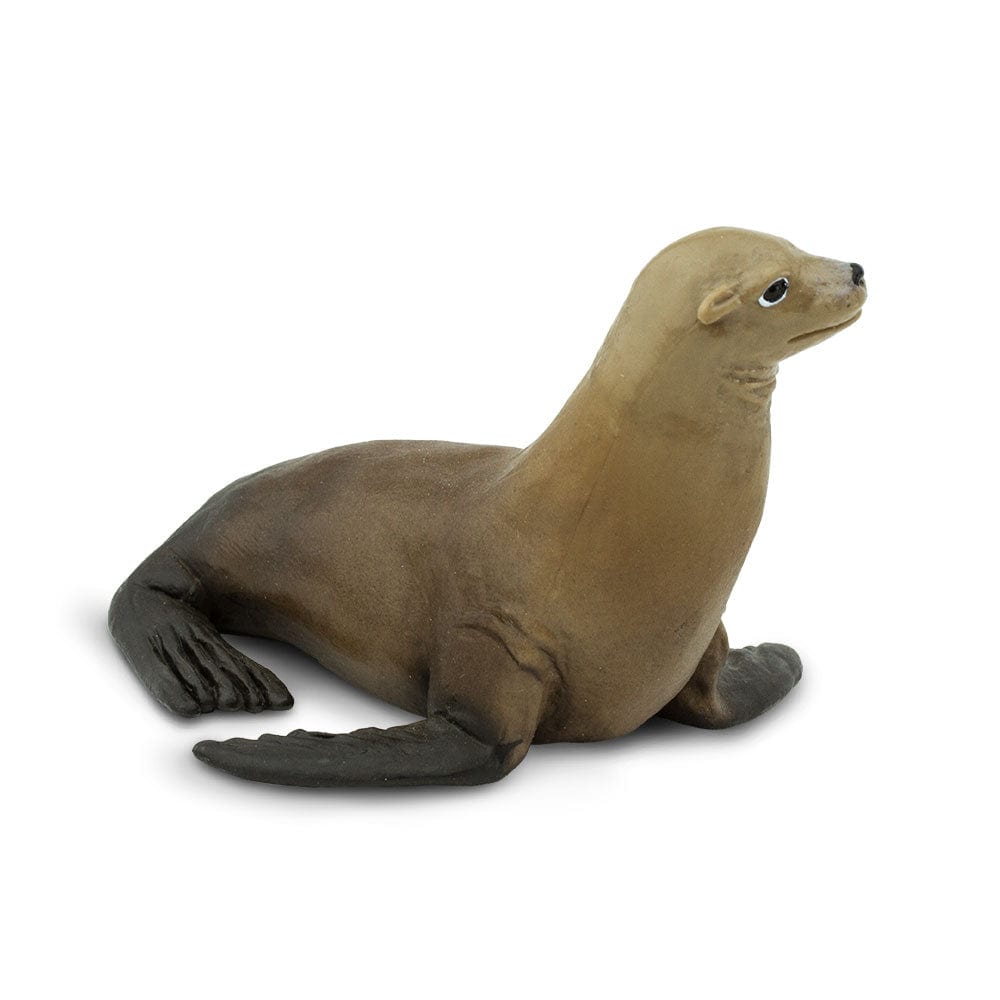 Sea Lion Toy Safari Ltd Lil Tulips