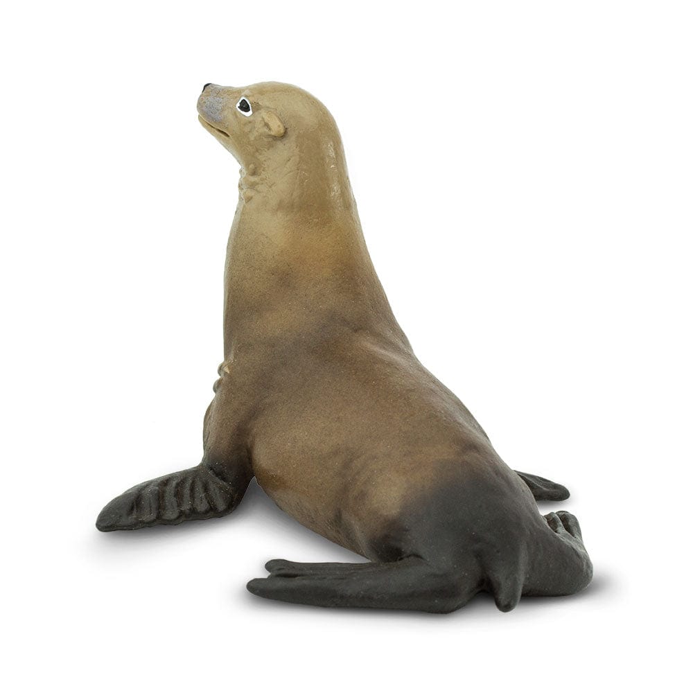 Sea Lion Toy Safari Ltd Lil Tulips