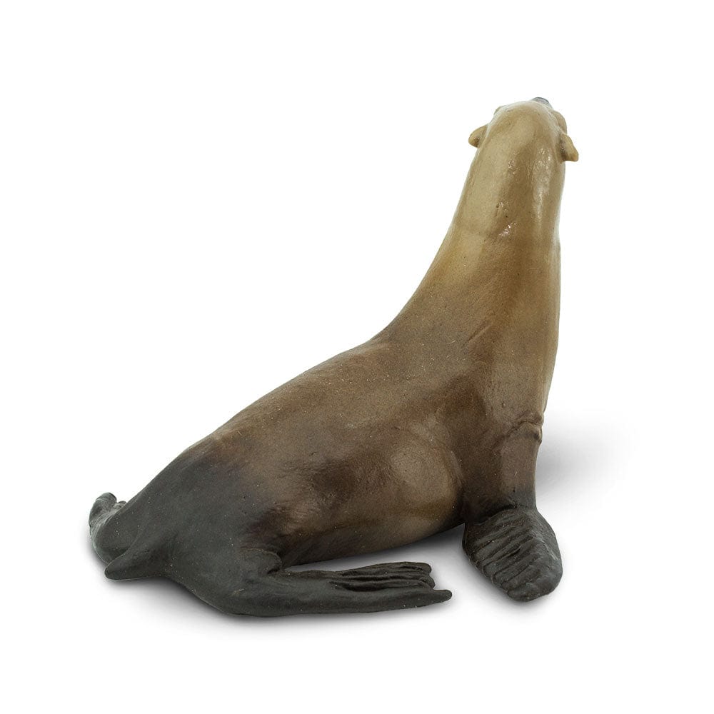 Sea Lion Toy Safari Ltd Lil Tulips