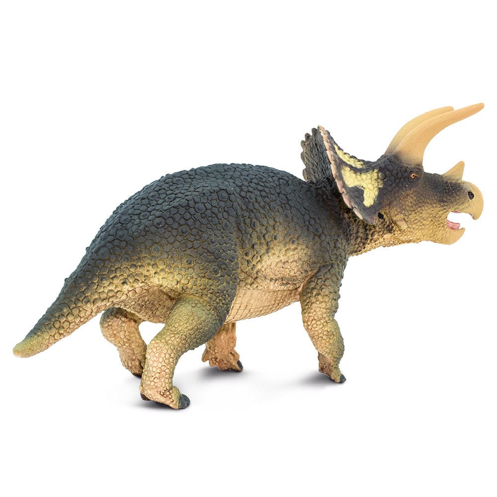 Triceratops Toy Safari Ltd Lil Tulips