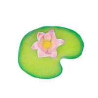 Water Lily Oli & Carol Lil Tulips