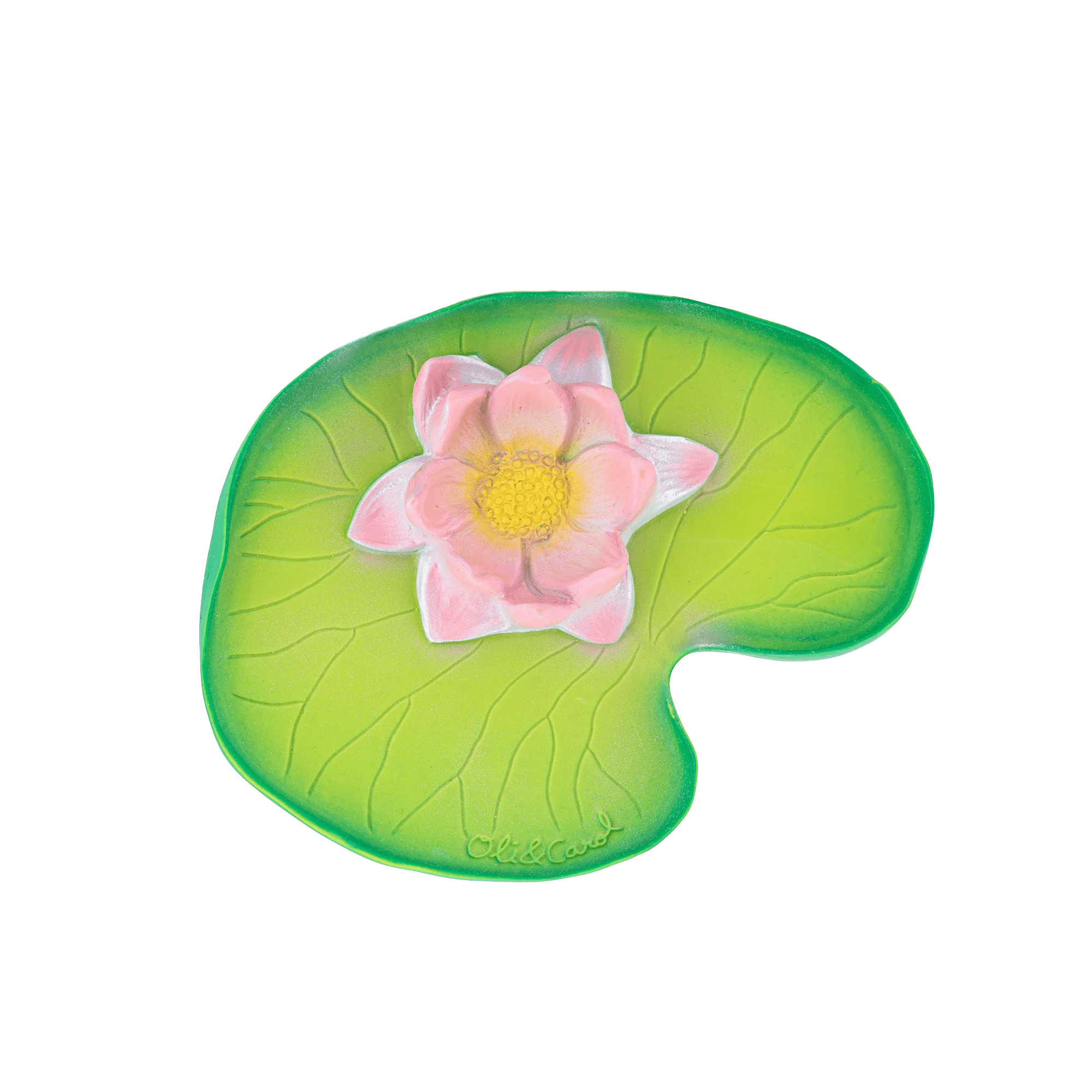 Water Lily Oli & Carol Lil Tulips