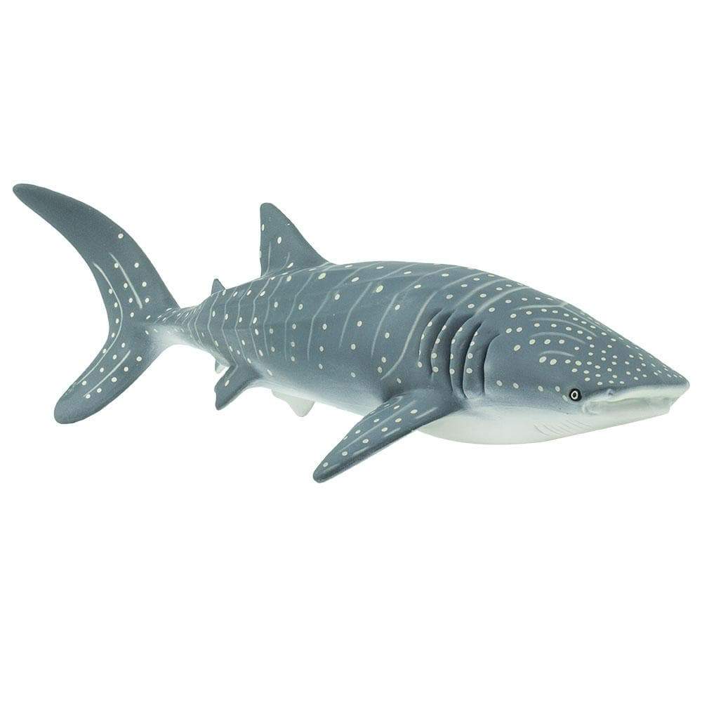 Whale Shark Toy Safari Ltd Lil Tulips