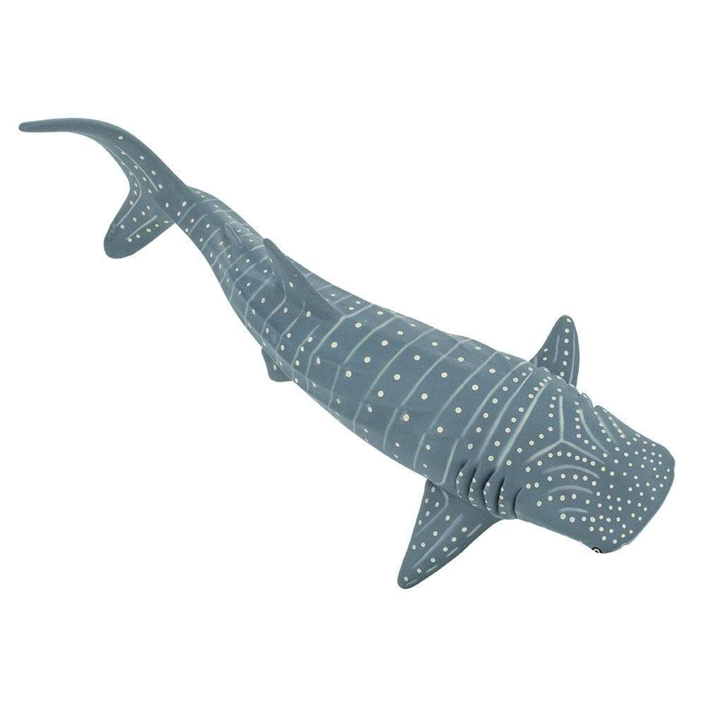 Whale Shark Toy Safari Ltd Lil Tulips