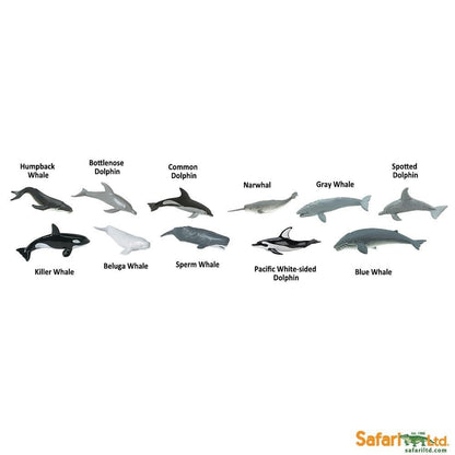 Whales and Dolphins TOOB® Safari Ltd Lil Tulips